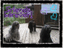 muttlies