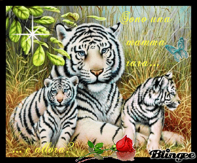 Tigre bianca mamma