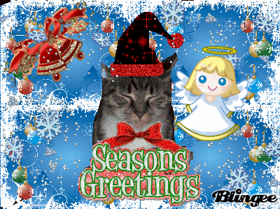 greetings greetings