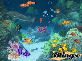 fish in the sea