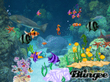 fish in the ocean
