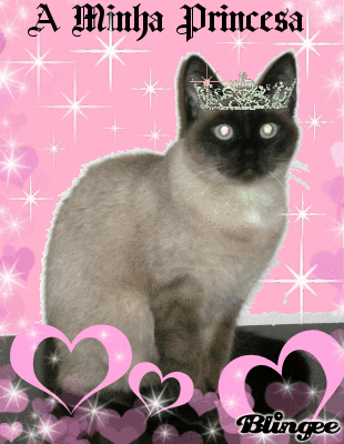Sissy a Princesa
