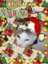 Feliz Navidad from Chaser