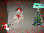 HEY SIS ITS CHRISTMAS TIME! SMILE
