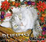 RUFIXMAS RUFIXMAS