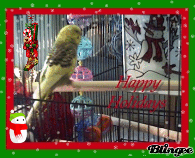 Bee Bee's first Christmas 018