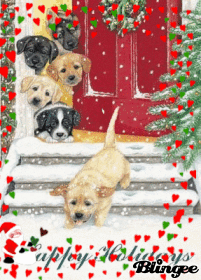 Happy Holidays