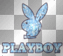 PlayBoy