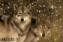 loups