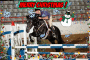 horse christmas