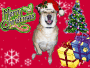christmas dog