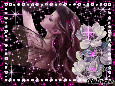 butterfly butterfly
