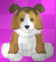 Collie