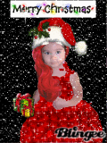 christmas Jazmine