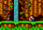 sonicgoku