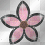 Pink Flower