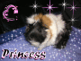 Nisen