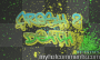 Fresh 2 Death