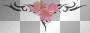 BlUme...........