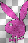 Pink glitter playboy bunny