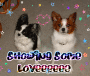Cordy & Angel