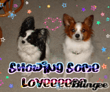 Cordy & Angel