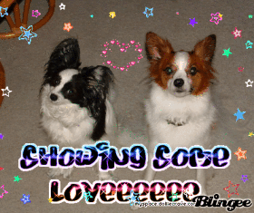 Cordy & Angel