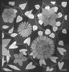 flower background