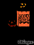punkinbag