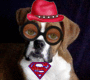 super dog