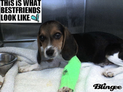 please help snoopy