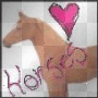 luv horses