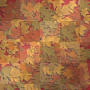 autumn leaves