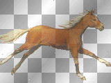 horse