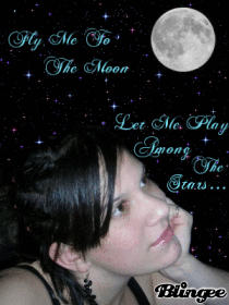 Fly Me To The Moon