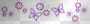 butterflies & flowers