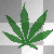 leafspin