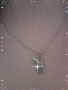 Collier playboy