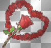 heart roses