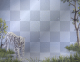 EYE OF THE TIGER