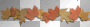 fallleaves