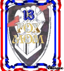 13 fox