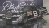 Dale Jr.