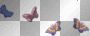 butterflies