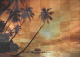 sunset beach
