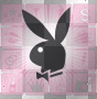 playboy