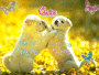 Cute Dogs