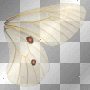 butterfly wing right