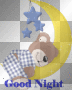 good night sleeping bear
