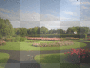 rose garden